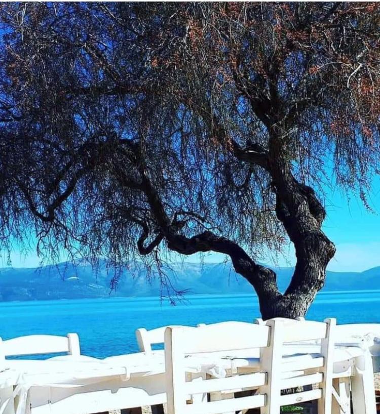 Agii Dimitrios ke PanteleimonEratous Seaside House别墅 外观 照片