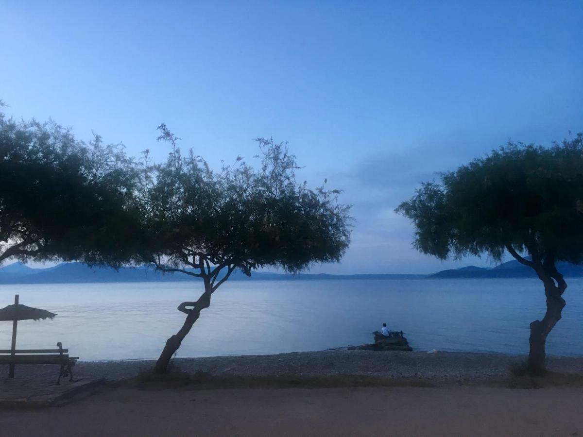 Agii Dimitrios ke PanteleimonEratous Seaside House别墅 外观 照片